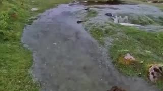 What is Primary Water?