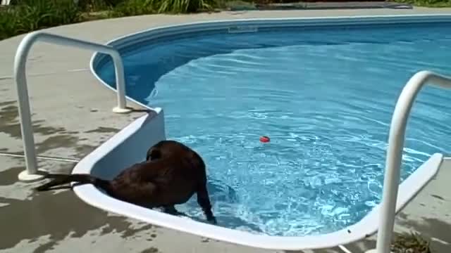 Jasper figures out the swimming pool
