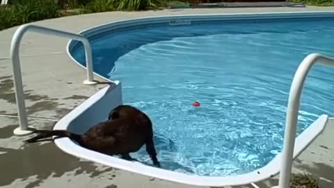 Jasper figures out the swimming pool