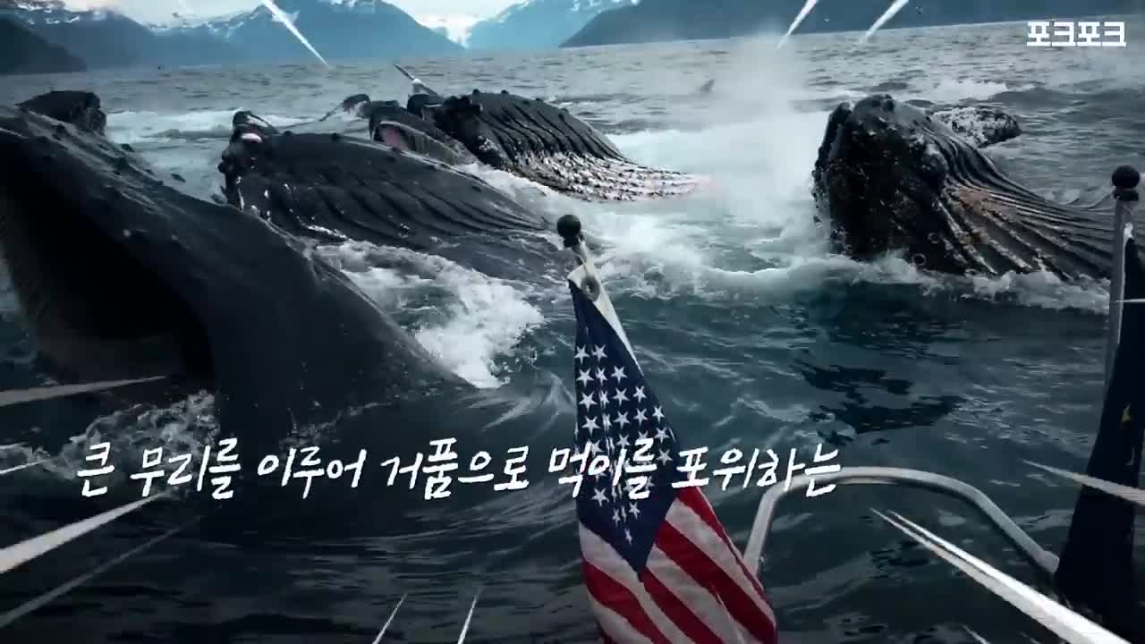 묘한 기운 감도는 바다···갈매기떼 몰려든 이유