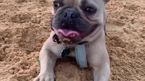 Let me show you what you’re missing