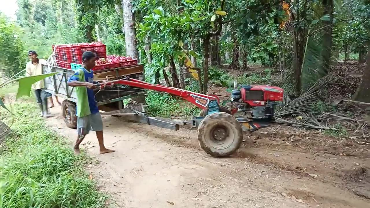 Agricultural vehicles crossing the wooden bridge