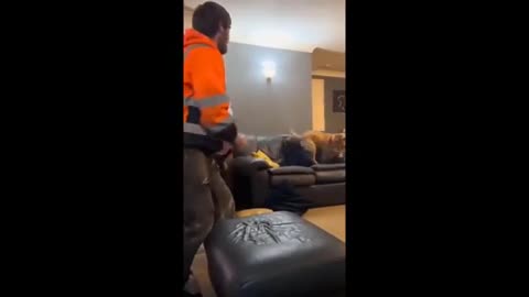 Funny animals will make you laugh very hard🤣😂😂