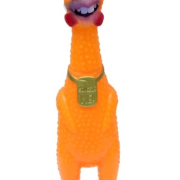 Why Rubber Chicken ;)