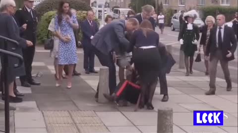 Prince Williams & Kate “Guard ”Fell on the Ground .