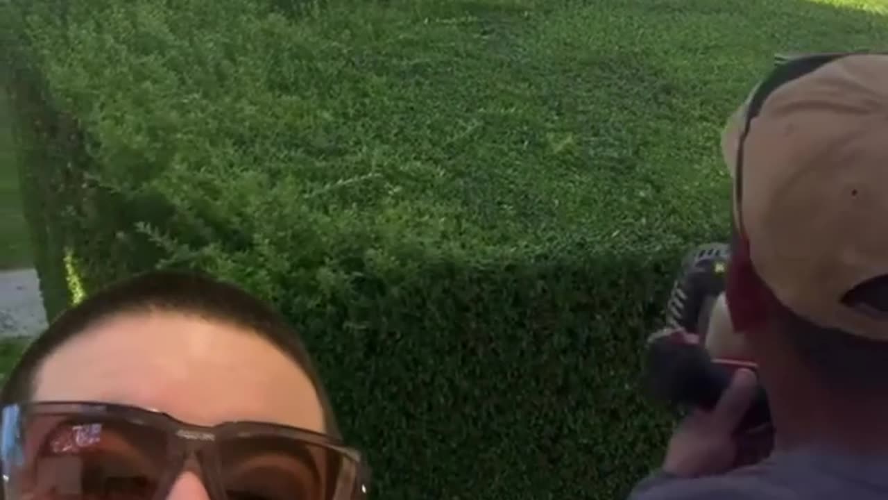 Grass cutting