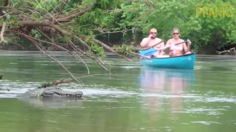Remote Controlled Alligator Prank Just For Laughs