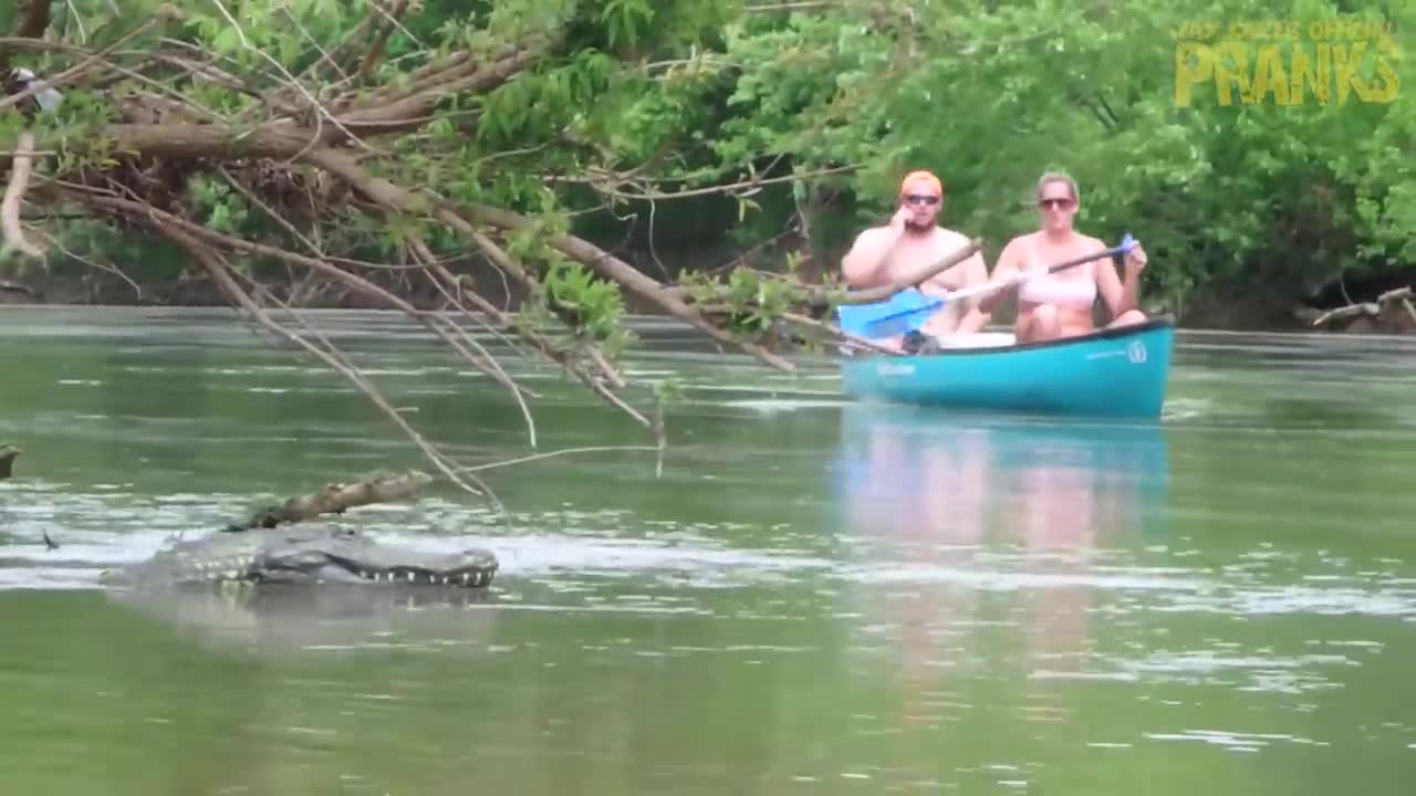 Remote Controlled Alligator Prank Just For Laughs