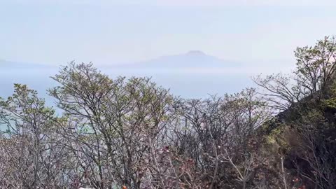 #LighthouseViews#OceanBeauty#CoastalScenery#LighthouseAdventure#SeasideMagic#OceanVibe#Japan#Pacific