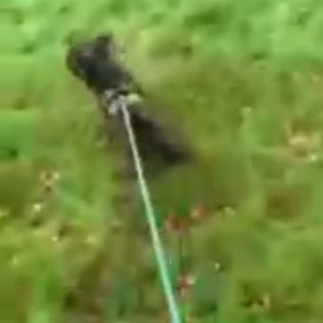 Death & LIFE [Find The Balance]