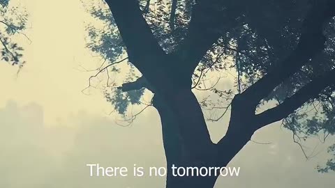 There is no tomorrow😌