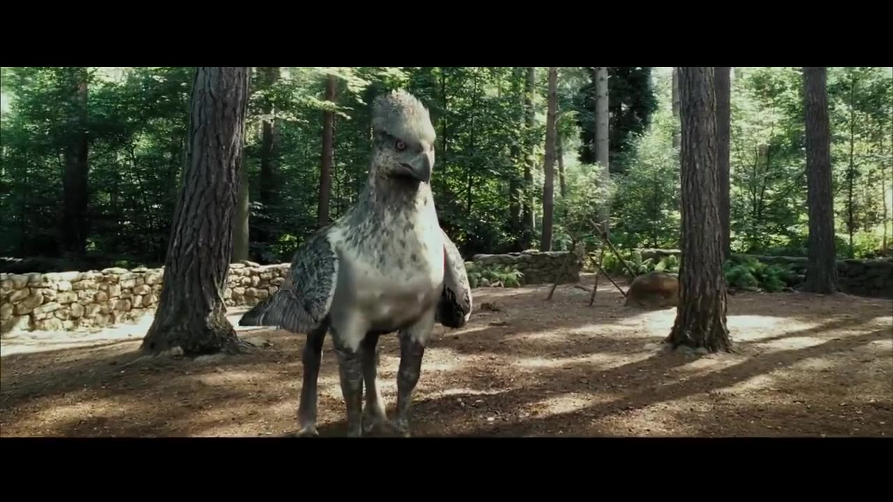 Meet Buckbeak | Harry Potter and the Prisoner of the Azkaban