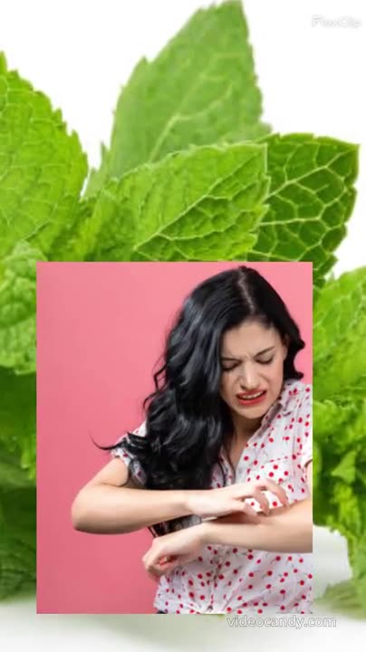 Many Benefits Of Mint