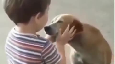 Increíble Como este Niño y este perro se aman