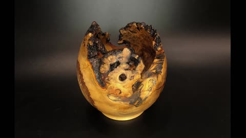 Wood turning - Cracking Burl Bowl(0P_HD)