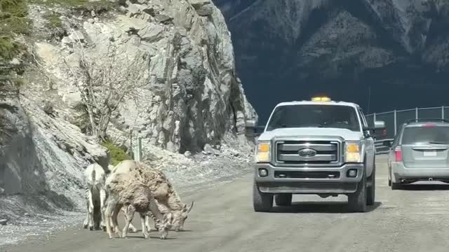 A day in the life of the Canadian Rockies