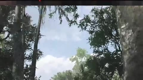 Stop walking they can hear us!!