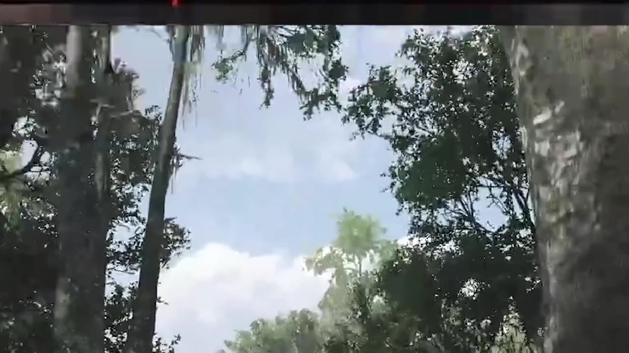 Stop walking they can hear us!!