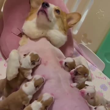 Give that beautiful mom some privacy 😊😊