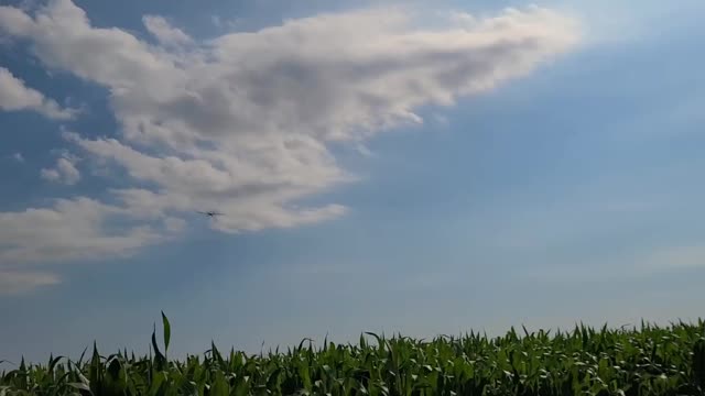High Flyin'