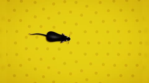 Cat mouse game😺 __ Entertainment play game for cats