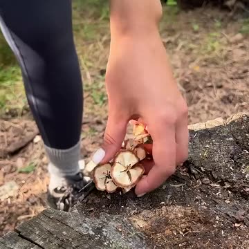 Girls are SMARTER than men🙄#camping #survival #bushcraft #outdoors