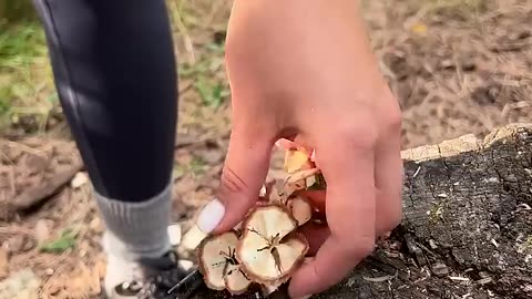 Girls are SMARTER than men🙄#camping #survival #bushcraft #outdoors