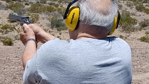 Colt Python