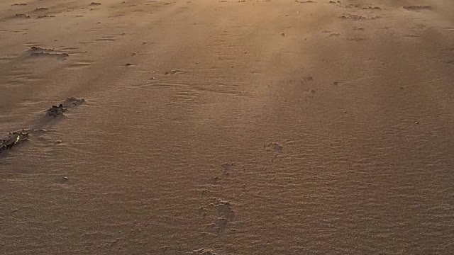English beach in fall