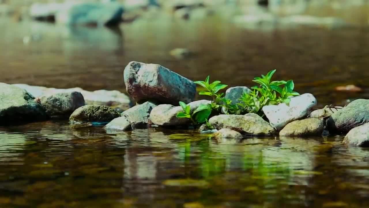 Attract Positive Energy - Relaxing Music for Meditation, Healing and Sleep (432hz)