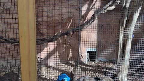 The Outside Of Rainforest Adventures Zoo