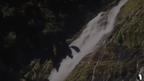 Yakushima Island Japan Tour