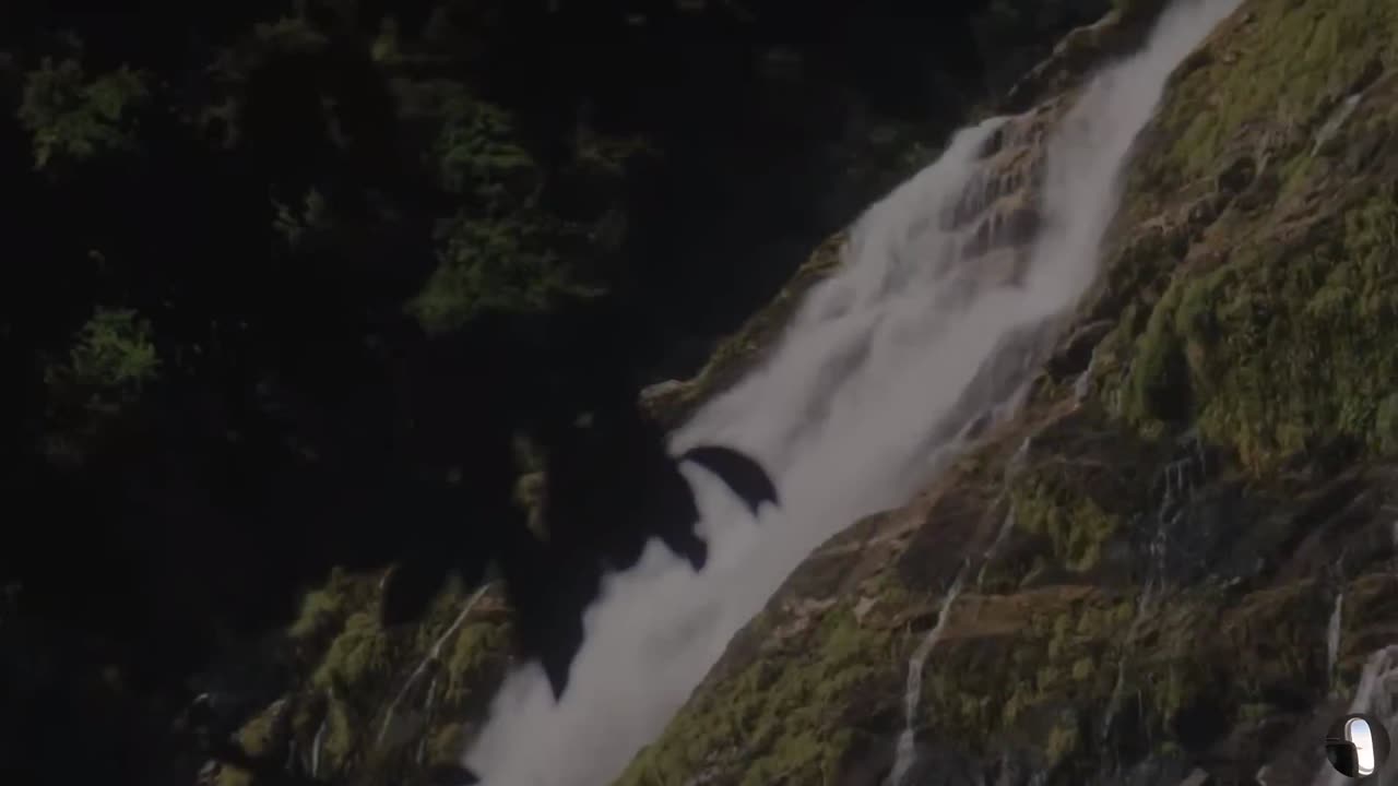 Yakushima Island Japan Tour