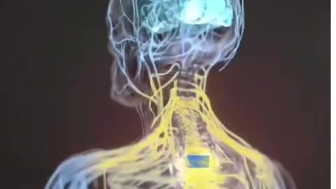 HOW THE HEAD TRANSPLANT WORKS 😱😱😱