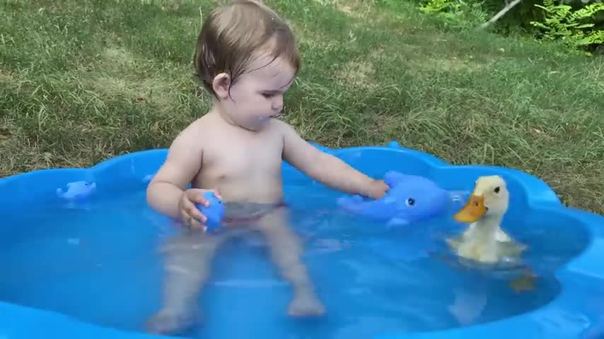 Funny baby and Duck in the pool
