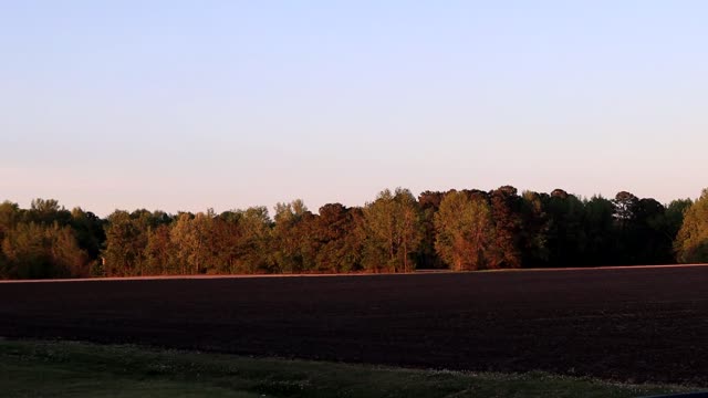 nature 4-20-2022 p3