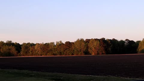 nature 4-20-2022 p3
