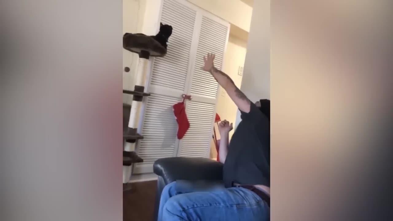 Funny Animal Videos 2023 π - Funniest Cats And Dogs Video πΊπ
