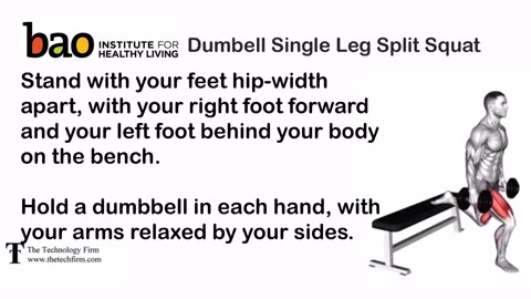 Dumbell Single Leg Bench Split Squat