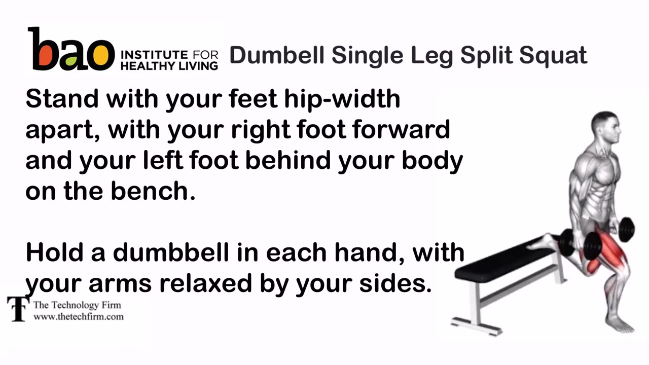 Dumbell Single Leg Bench Split Squat