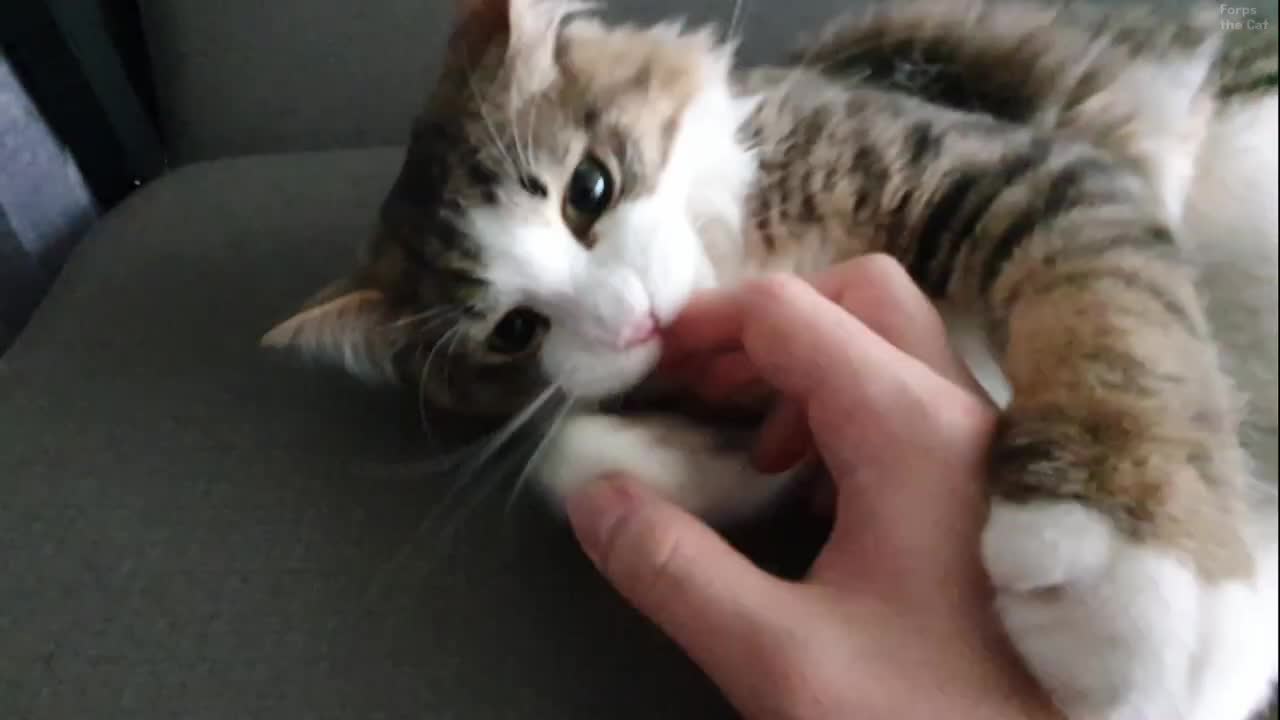There was a finger and I bite