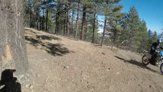 East Frazier Trail: Climb to Sunshine