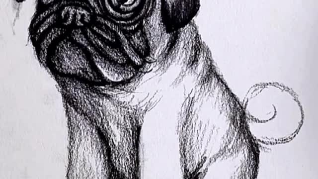 Have you learned?#CapCut #drawing #dog #pencil #foryou #fyp