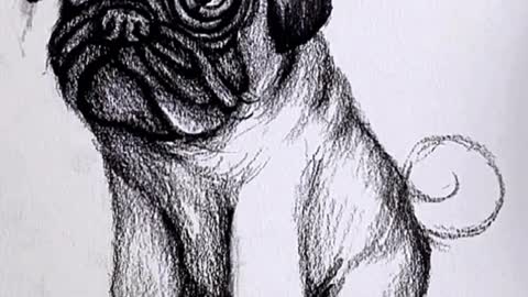 Have you learned?#CapCut #drawing #dog #pencil #foryou #fyp