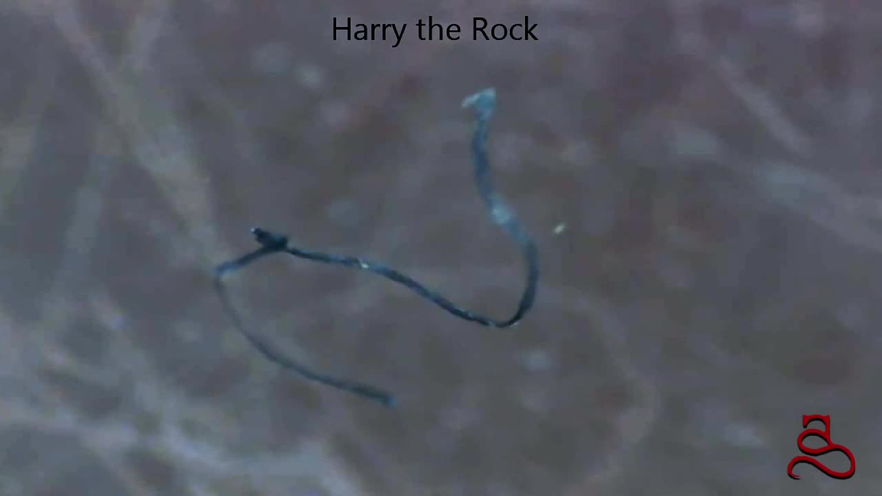 Back to the Beginning