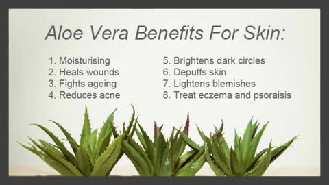 Receding Gums Natural Treatment