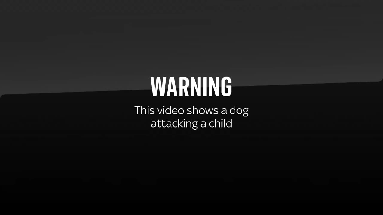 Home sec seeks advice on banning American XL bully breed after dog attacks 11-year-old girl