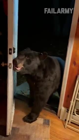 Bear shutting a door
