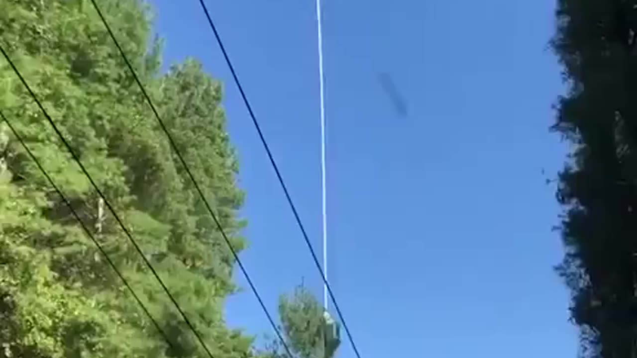 The pruning of trees extending towards power lines in forests and mountains
