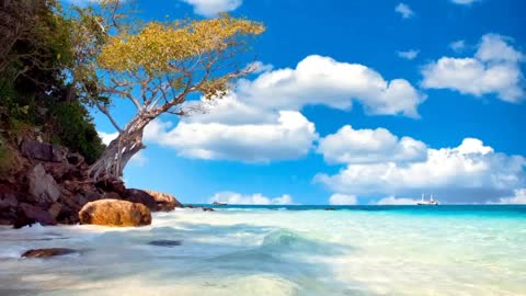 Nature Beach